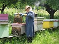 20110606_Aqua_si_CS 136